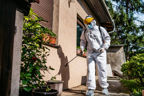 Best Residential Pest Control  in Esko, MN