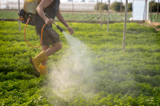 Reliable Esko, MN Pest Control Solutions