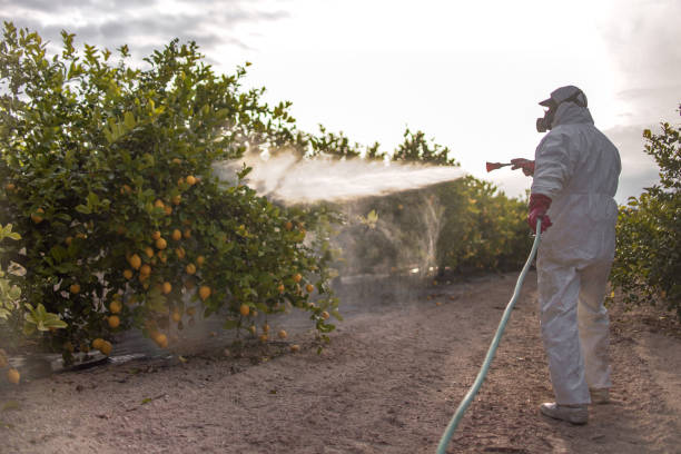 Pest Control for Restaurants in Esko, MN