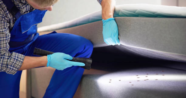 Best Wasp Removal Services  in Esko, MN
