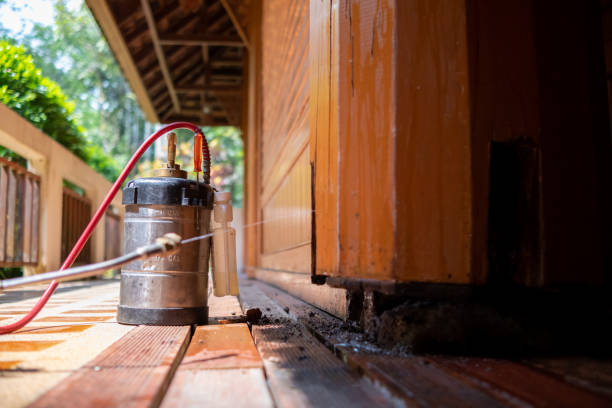 Best Pest Control for Homes  in Esko, MN