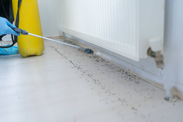 Best Residential Pest Control  in Esko, MN